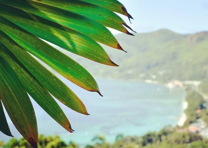 Ocean Terrace Anse Royale